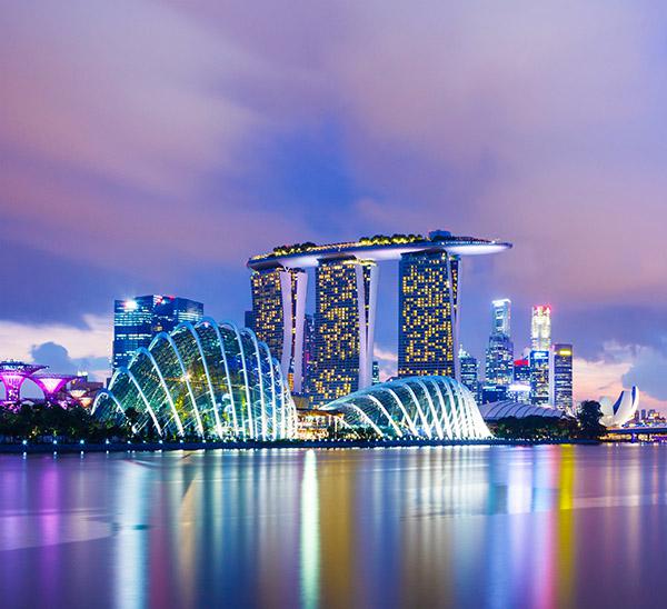 新加坡自雇pic