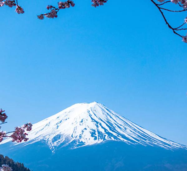 日本高度人才经营管理签证